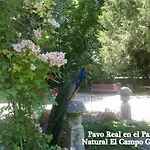 Colon Plaza Valladolid